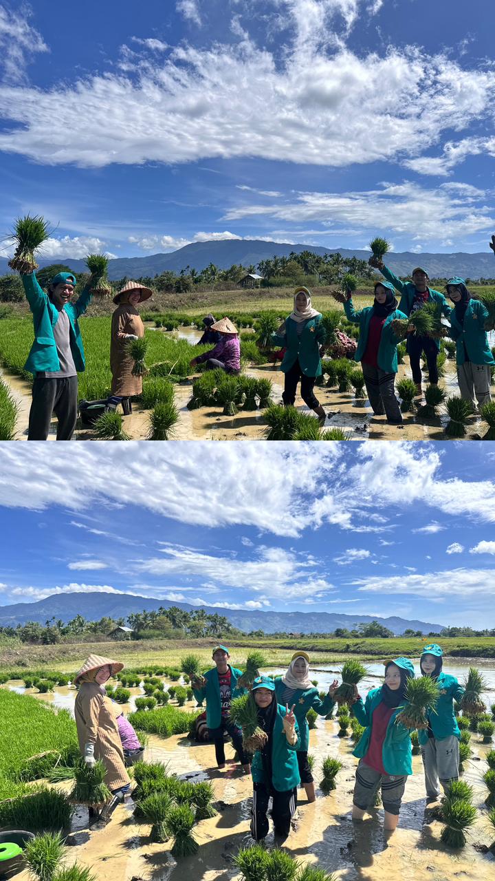 Sebagian besar masyarakat Gampong Atong bermata pencaharian sebagai Petani